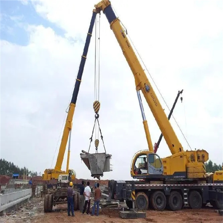 资阳小型吊机出租电话|厂房设备吊装方案|24小时服务覆盖